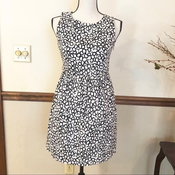 Zara Dresses & Skirts - ZARA Basic black and white dress